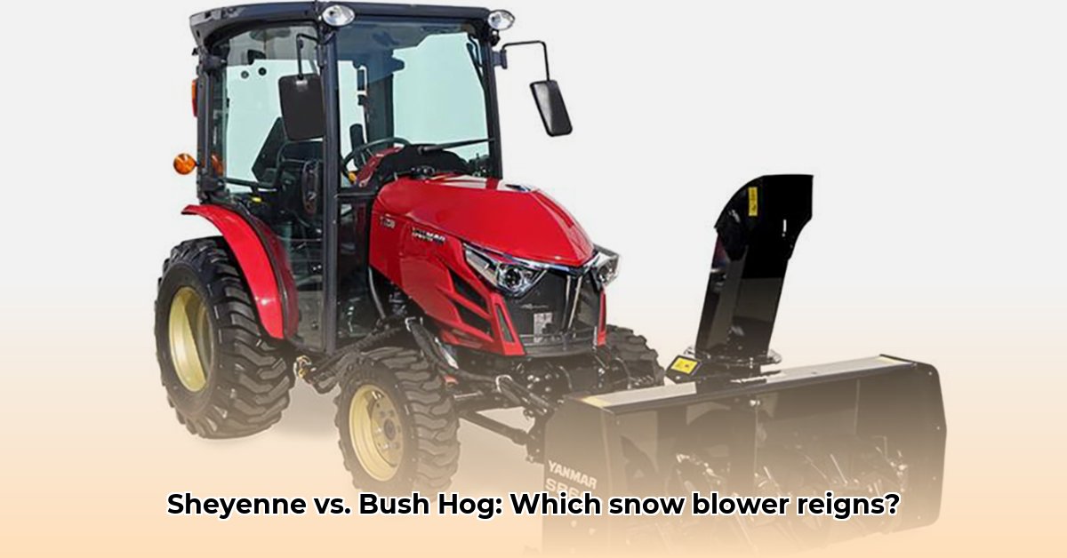 large-tractor-snow-blowers